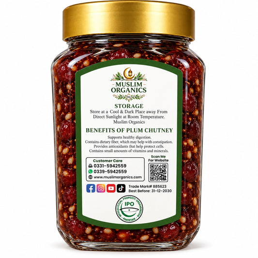 Premium Plum Chatni 250g
