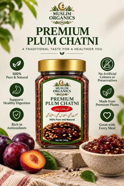 Premium Plum Chatni 500g