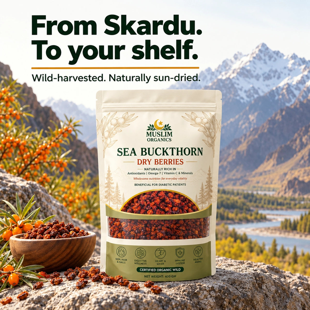 100% Natural Sea Buckthorn Dried Berries – (400g Pack)